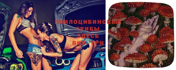 гидра Нефтекумск