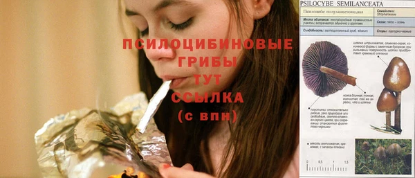 гидра Нефтекумск