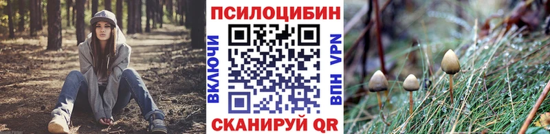 Псилоцибиновые грибы ЛСД  как найти закладки  Сегежа 